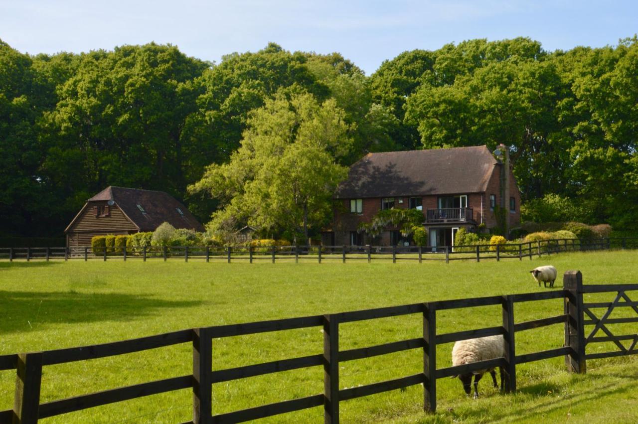 The Hideaway-south Downs National Park * Graffham