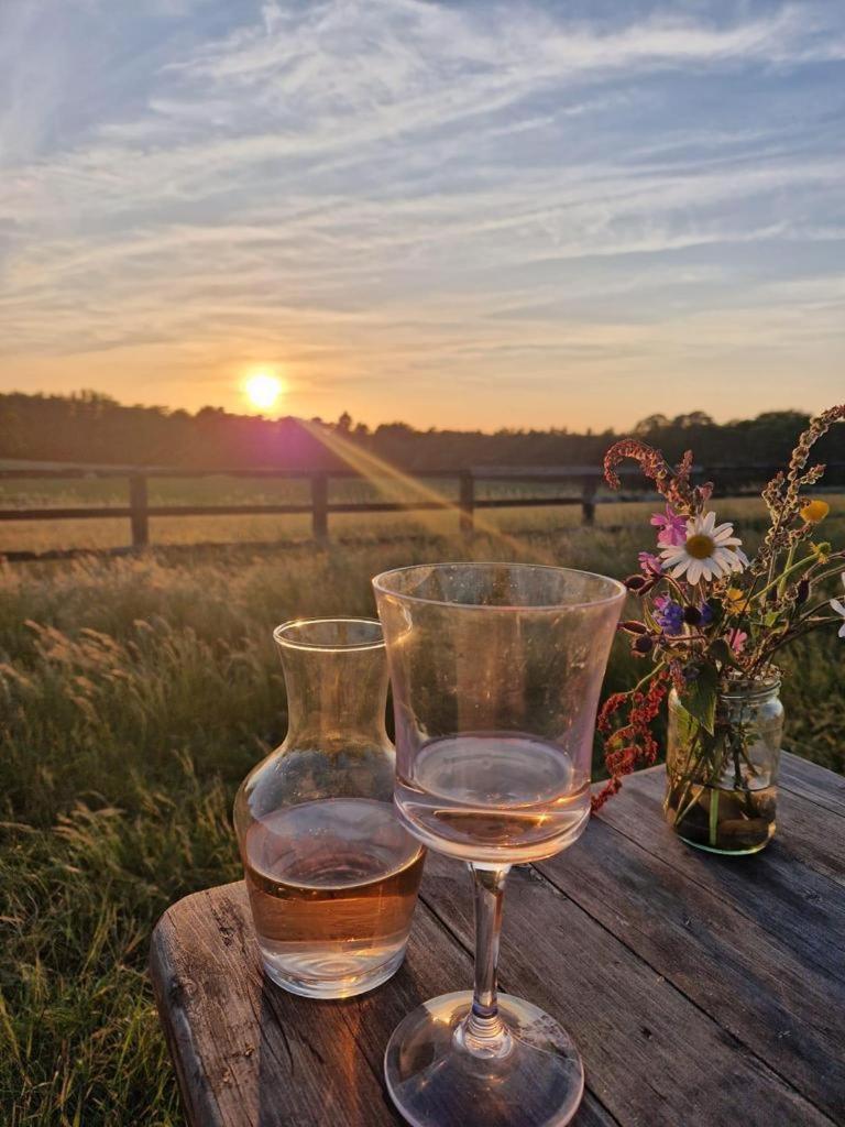 The Hideaway-south Downs National Park