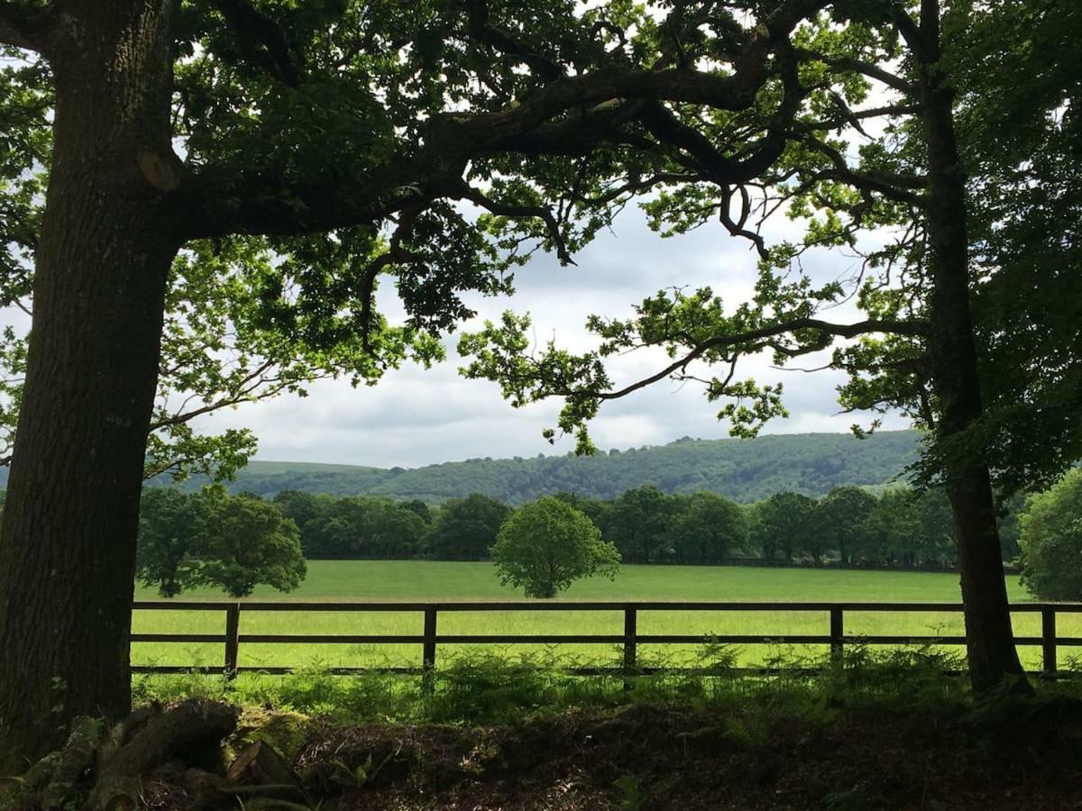 The Hideaway-south Downs National Park Apartment *