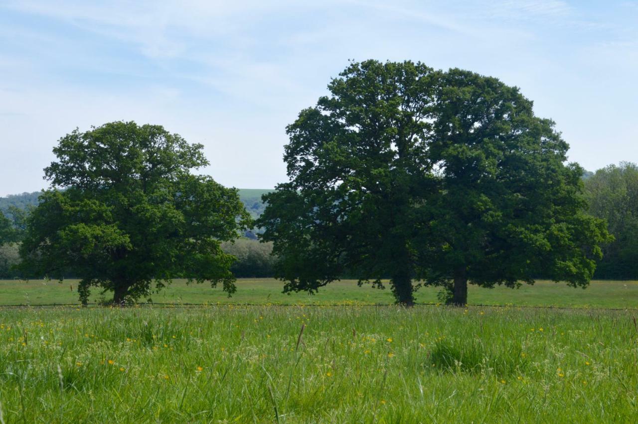 The Hideaway-south Downs National Park * Graffham